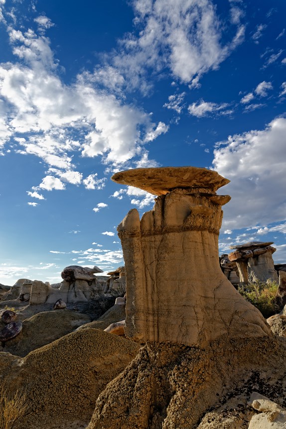 The Master King Eagle