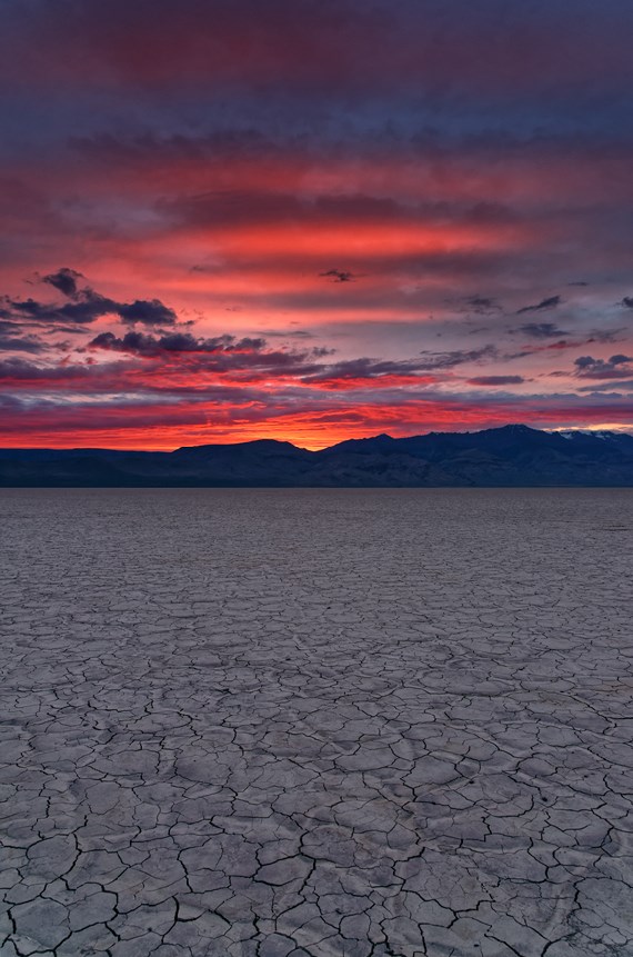 The Last Blaze​​