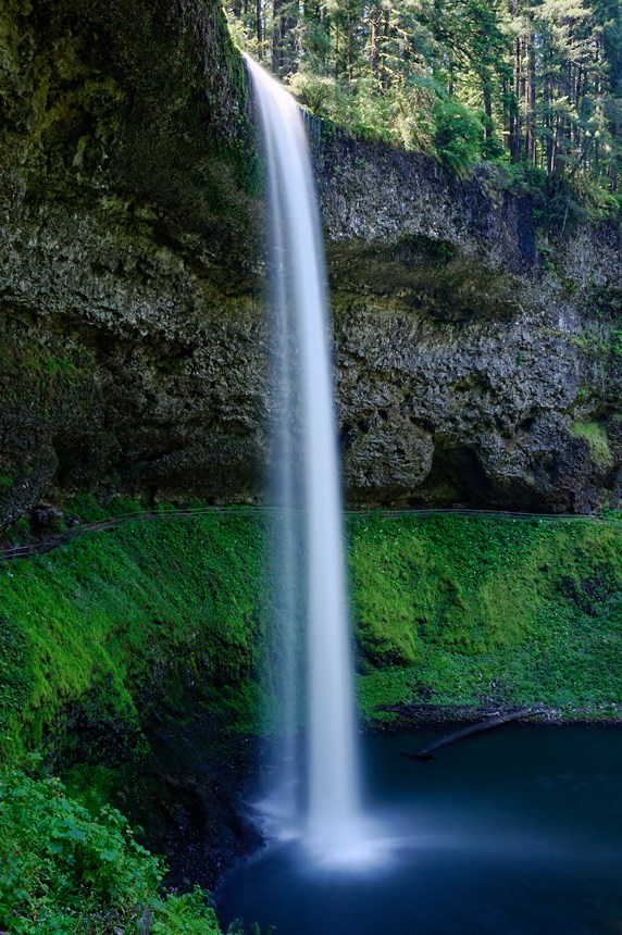 The White Angel of the Deep Forest