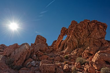 The Alien Elephant's Twilight