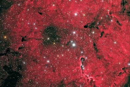 IC1396