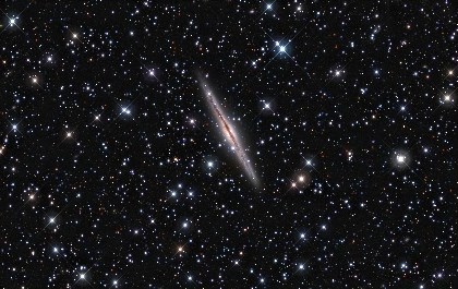 NGC891